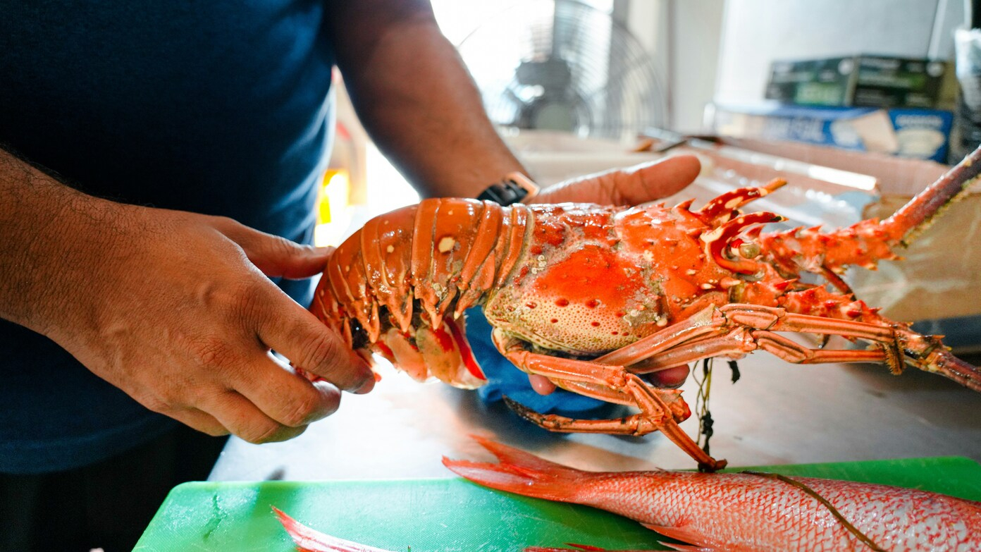 Goodbye forever to endless shrimp - Red Lobster CEO reveals plans for revamped chain